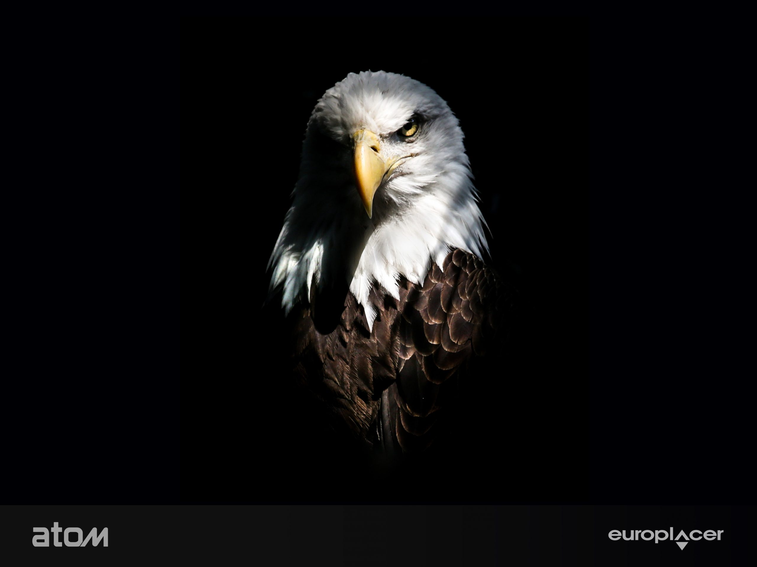 Europlacer eagle promotion image